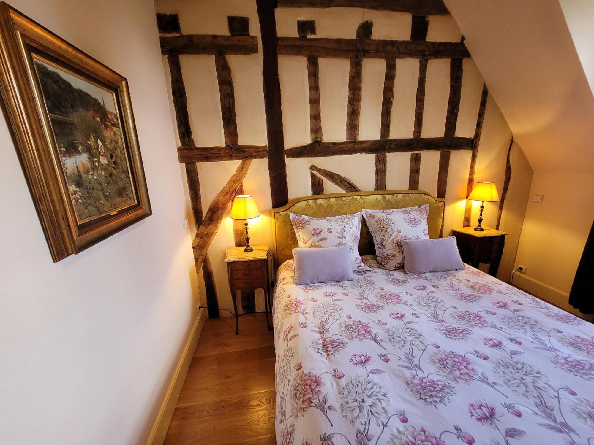 Saint-Eusebe Mansion - Hotel Particulier St-Eusebe Auxerre Εξωτερικό φωτογραφία