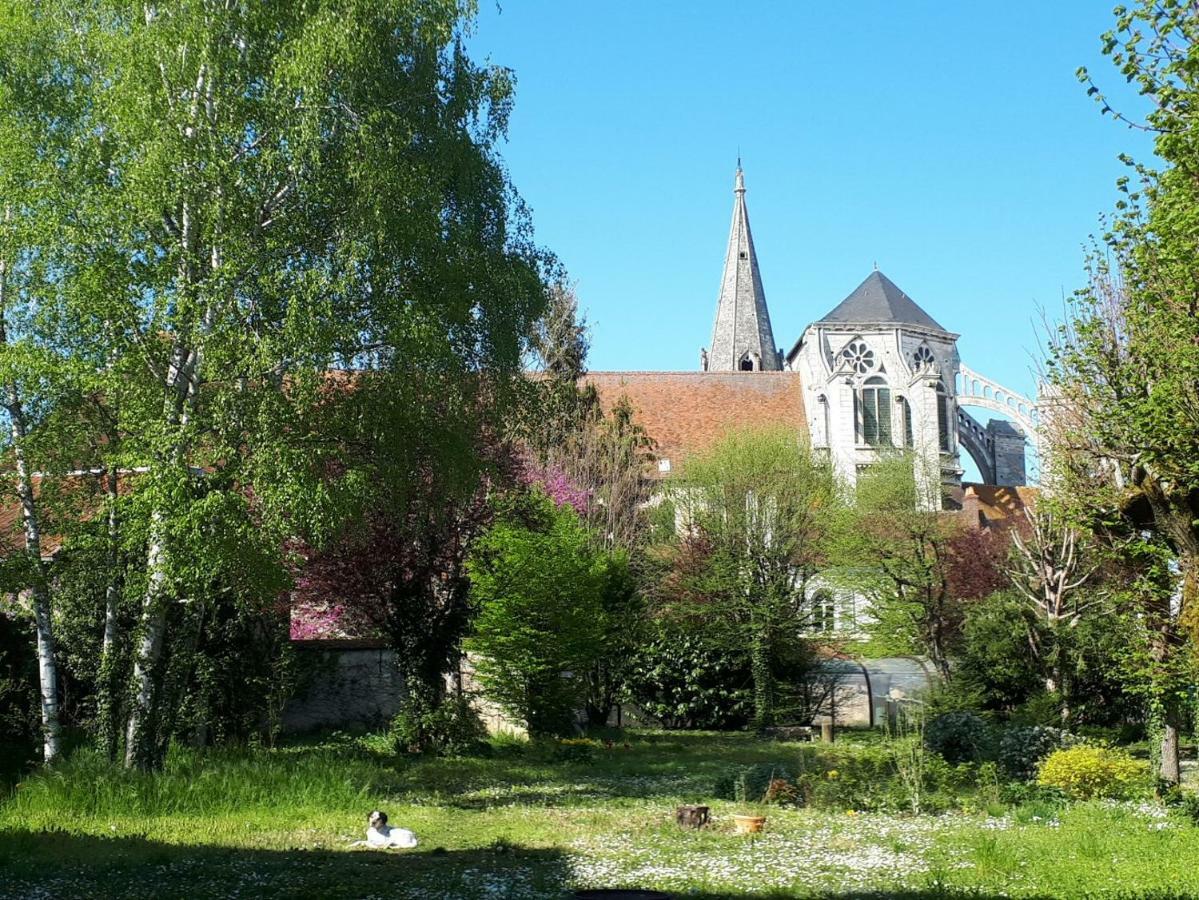 Saint-Eusebe Mansion - Hotel Particulier St-Eusebe Auxerre Εξωτερικό φωτογραφία